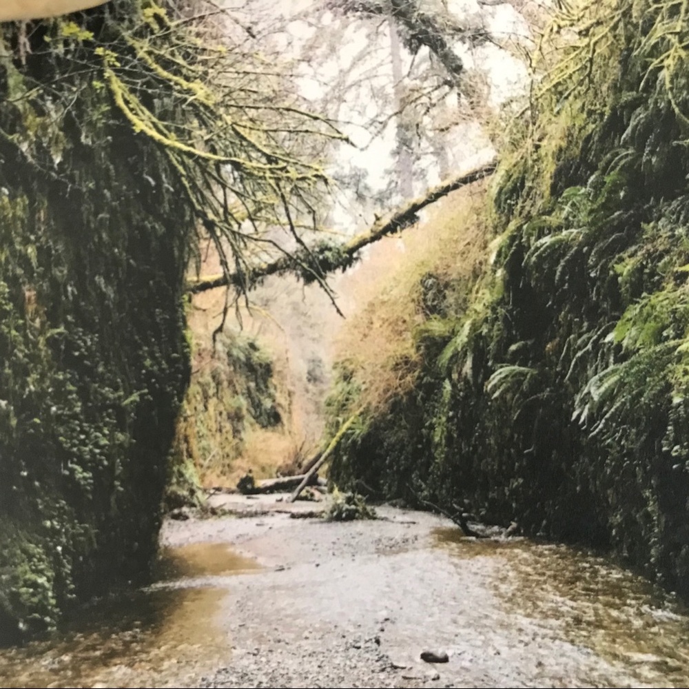 I Sell Photography Art Prints - Picture 11 of 16